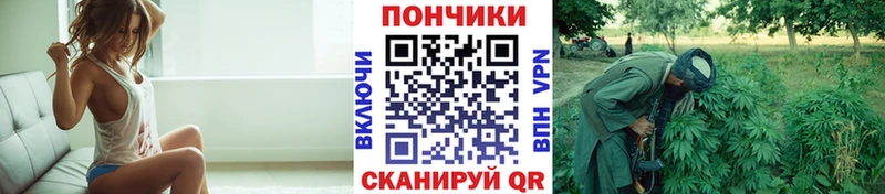 Купить наркотики сайты Кызыл Alpha PVP МЕФ АМФЕТАМИН Каннабис