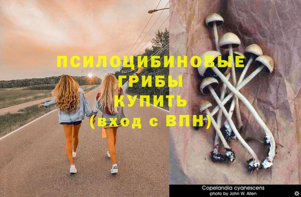 гидра Горнозаводск