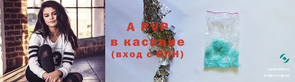 apvp Горняк