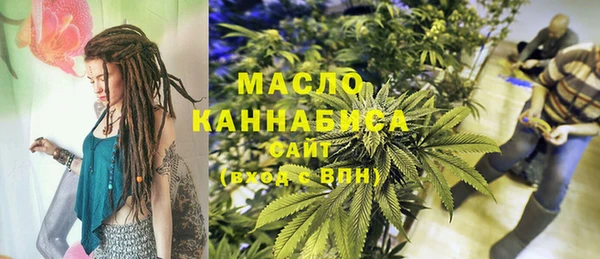гидра Горнозаводск