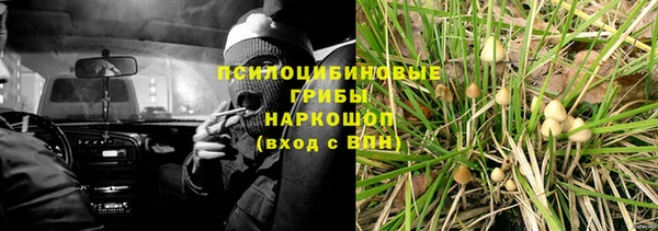 apvp Горняк