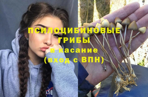a pvp Вяземский