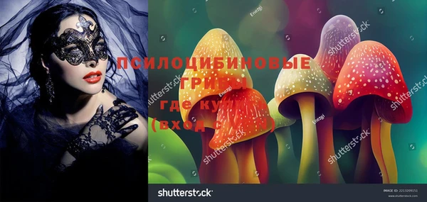 a pvp Вяземский