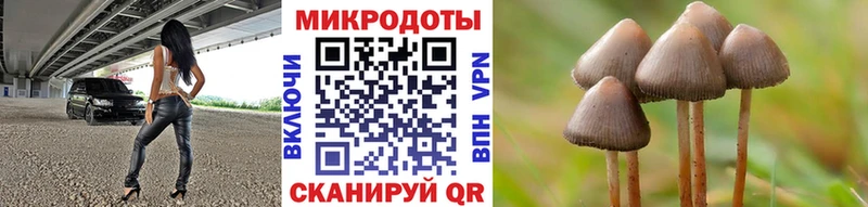 Псилоцибиновые грибы мицелий даркнет сайт МЕГА сайт Кызыл